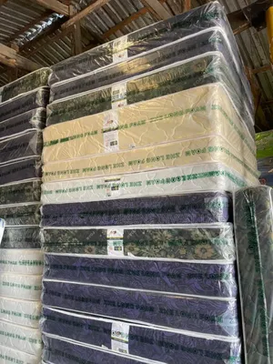 Zhe Long Distributor in Lekki