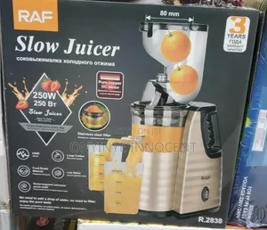 Raf 250w Slow Juicer - Cold Press Extractor (Model R.2838)