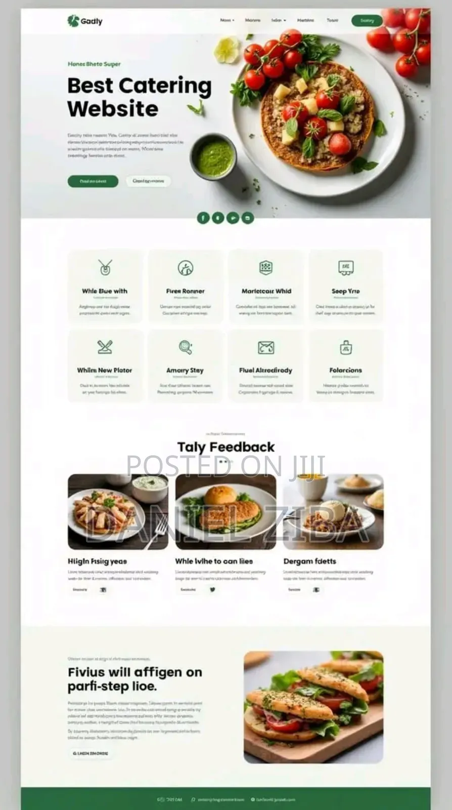 Web Designer