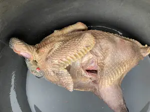 Fresh Guineafowls