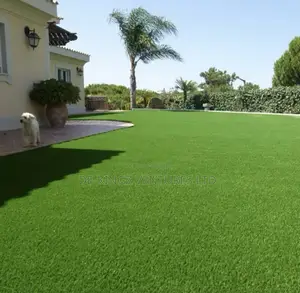 Rrug Capet Grass Carpet Turf Artificial