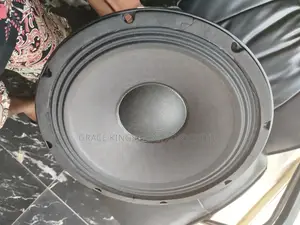 Virgin 12" Replacement Line Arrays Speaker