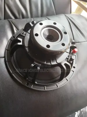 Virgin 10" Line Arrays Replacement Speaker