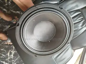 Virgin 10" Line Arrays Replacement Speaker