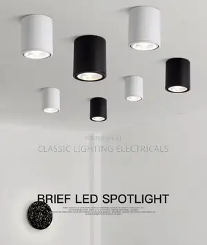 Cylindrical Led Downlight