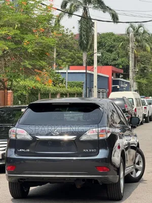 Lexus RX 2010 Gray