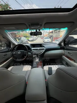 Lexus RX 2010 Gray