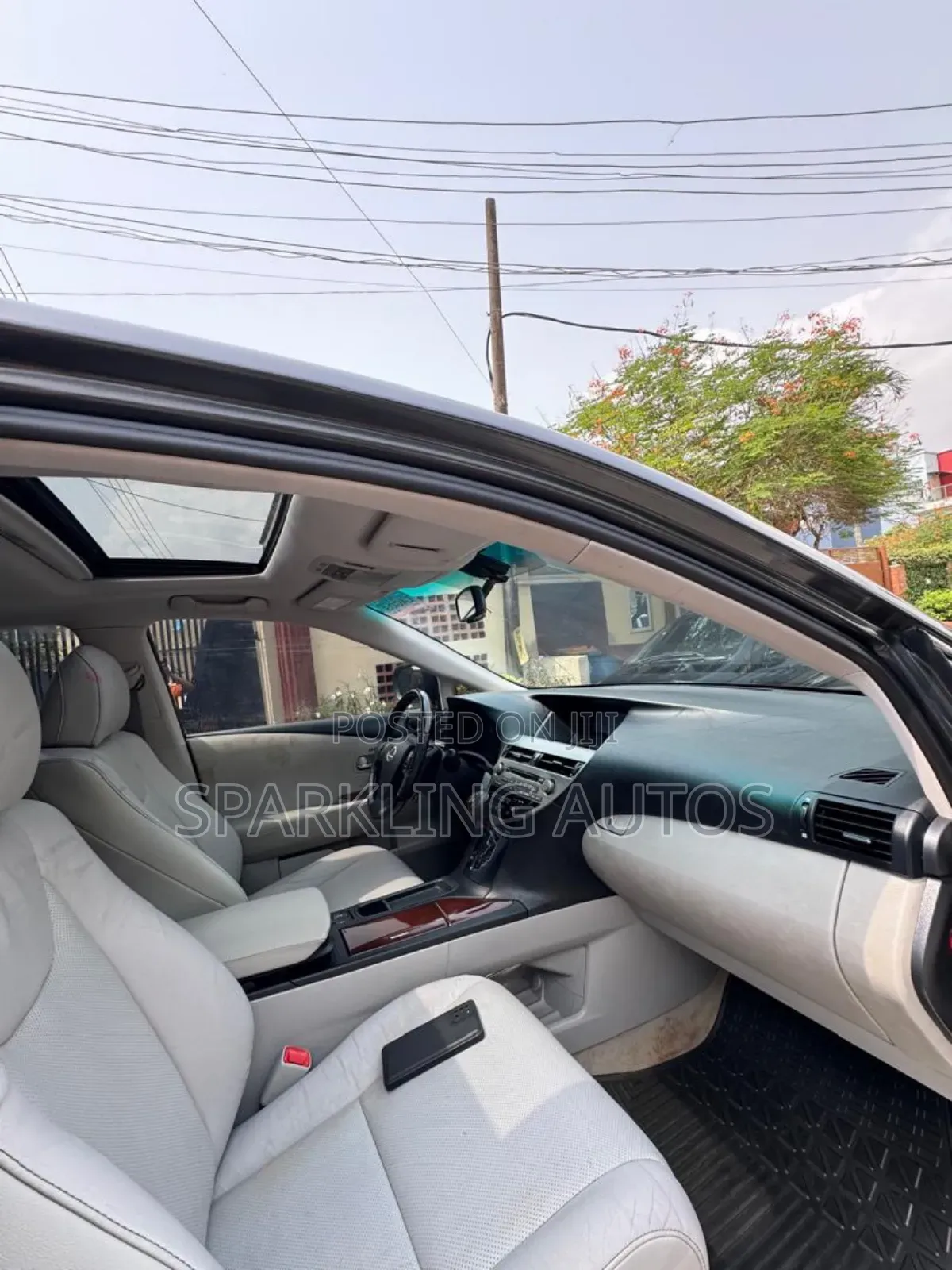 Lexus RX 2010 Gray