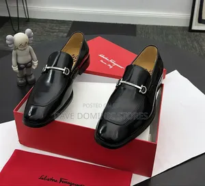 Ferragamo Shoe