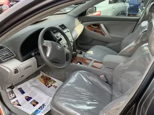 Toyota Camry 2010 Gray