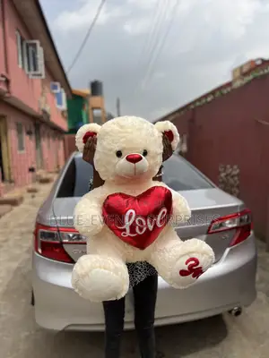 60cm Sitting Teddy Bear Big Size