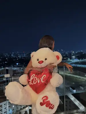 60cm Sitting Teddy Bear Big Size