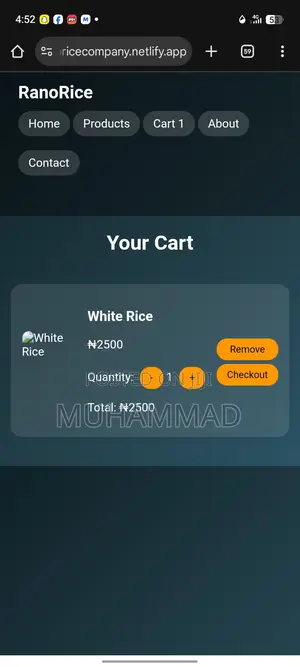 Ready Made Website E-Commerce Website at an Affordable Price
