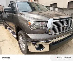 Toyota Tundra Double Cab 4x4 Limited 2010 Gray