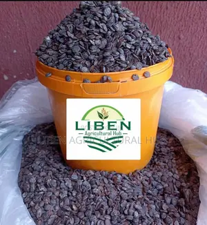 1.5kg of Dried Iru ( Locust Beans)