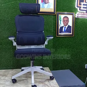 Ergonomic Mesh Office Chair (Executive Model)