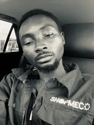 Automobile Mechanic and Electrical