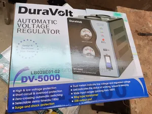 Big Voltage Regulator Dv 5000w