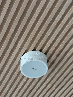 Surface Ceiling Mounted Speakers