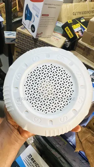 Surface Ceiling Mounted Speakers