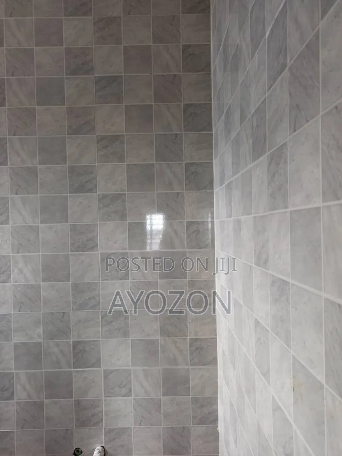 Tiling Work and Marble