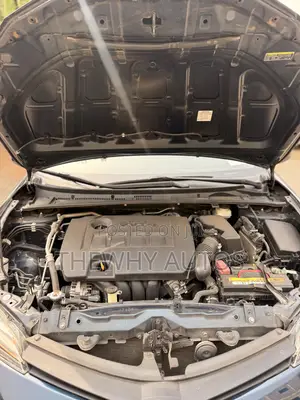 Toyota Corolla LE Eco (1.8L 4cyl 2A) 2019 Blue