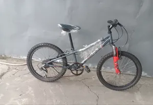 Apollo Children Bicycle 20 Inch