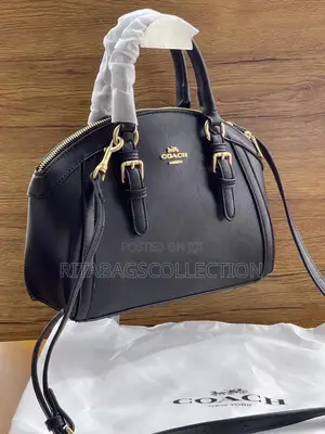 Coach Mini Sierra Satchel Bag