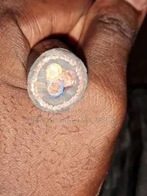 6mm 3core Armoured Nigerchin