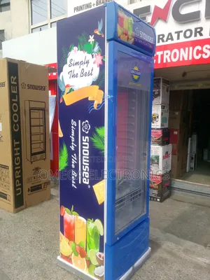 Snow Sea Chiller Show Glass
