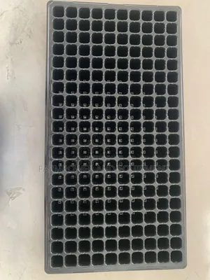 200 Holes Seed Tray
