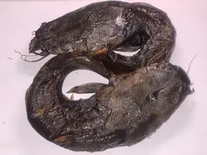 Smoked Dry Fish / Dry Leafs