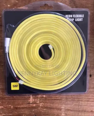 12v Single Color Neon