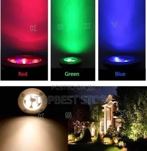 Multiple Color Floor Light