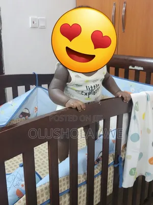Baby Wooden Cot With Full Accessories and the Net