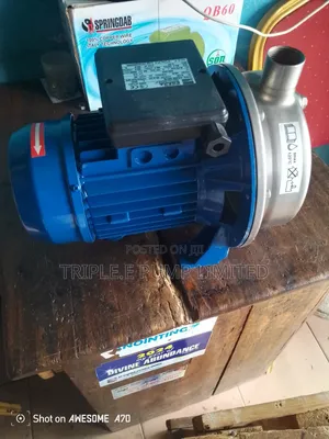 Ebara Surface Pump