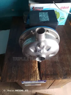 Ebara Surface Pump