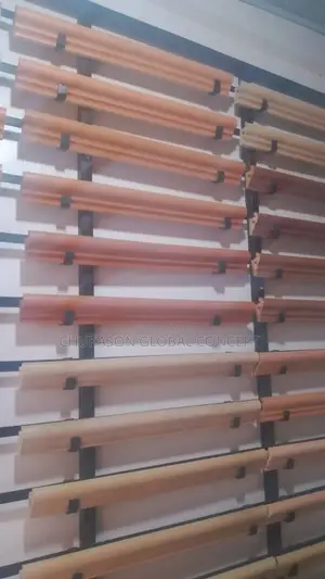 Swimming Curping