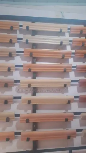 Swimming Curping