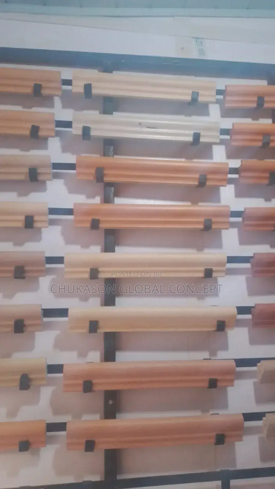 Swimming Curping