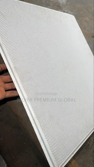 Suspended Ceiling