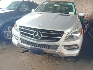 Mercedes-Benz M Class 2015 Silver