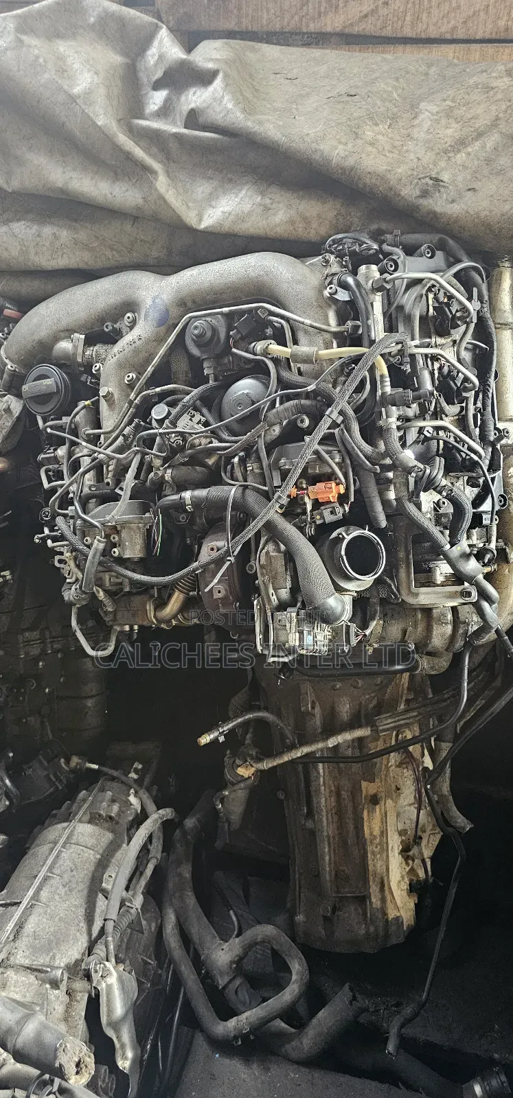 Audi Q7 Engine V6 2010