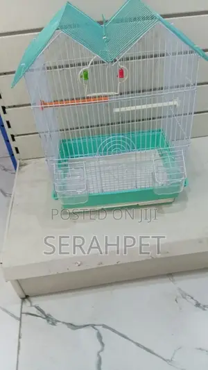 Bird Cage for Sale