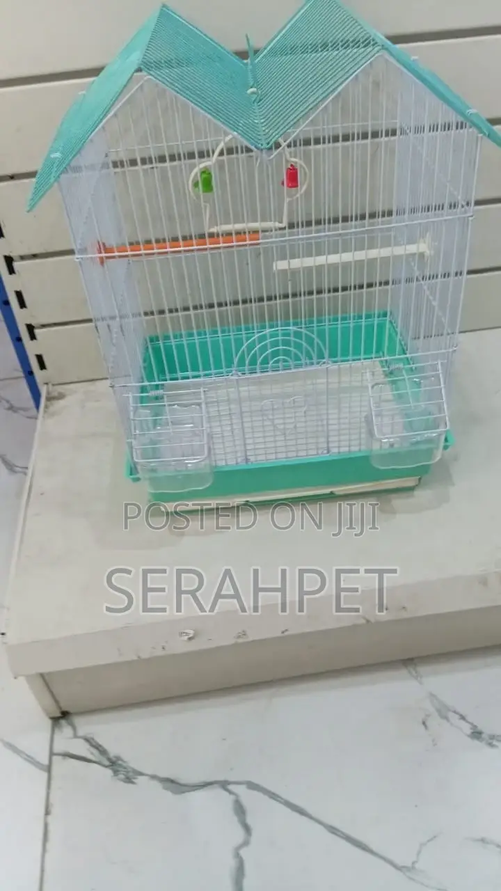 Bird Cage for Sale