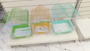 Bird Cage for Sale