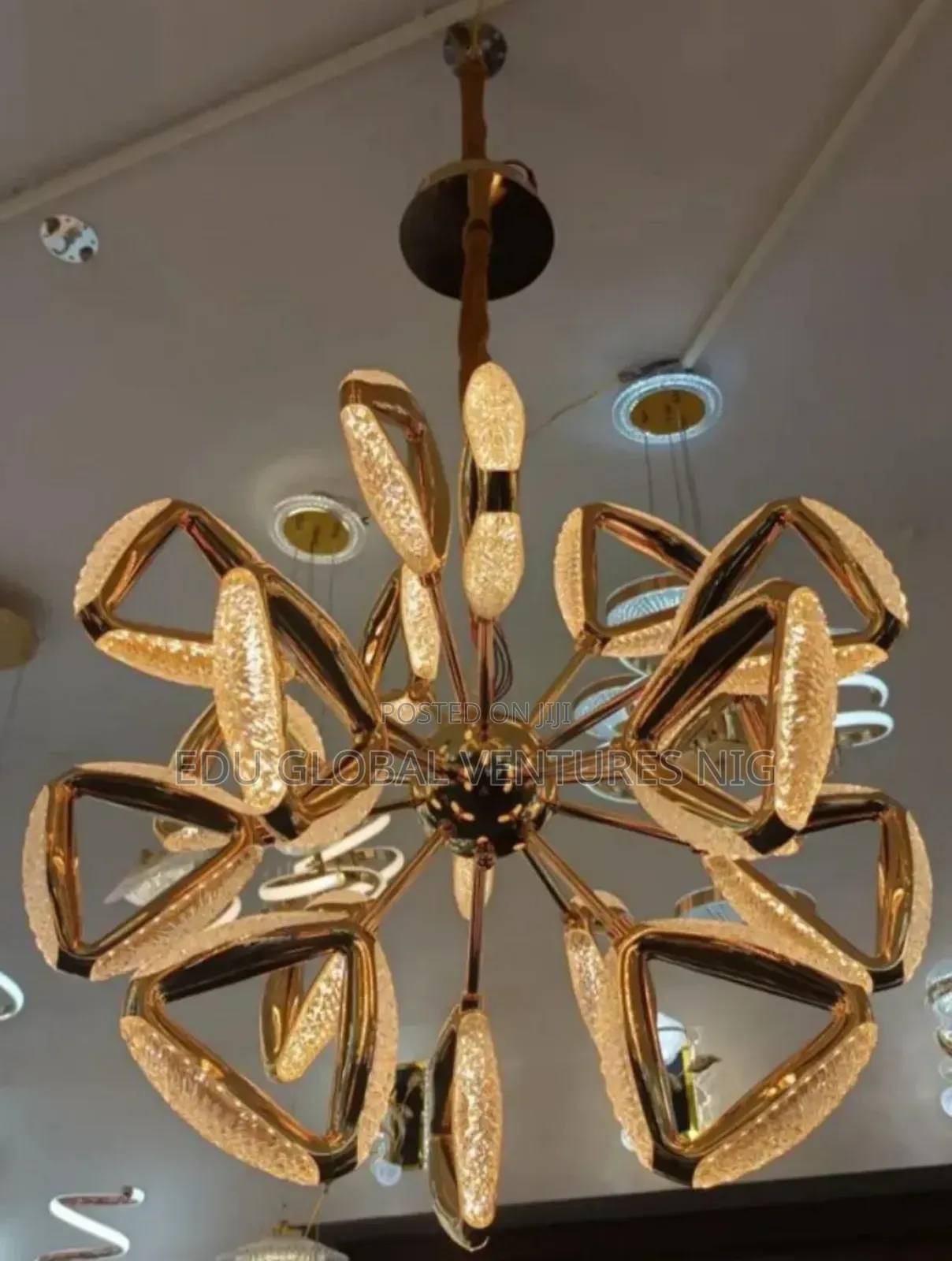 Alien Shell Hanging Pendant Light.
