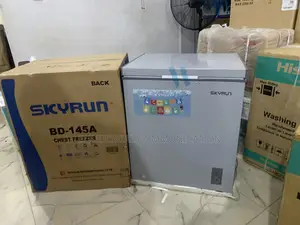 Skyrun Bd-145a Deep Freezer for Small Businesses