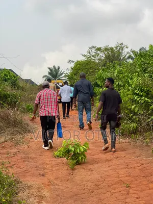 One Plot Of Land In Prime Locations In Benin City