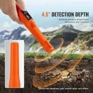Gold Detector